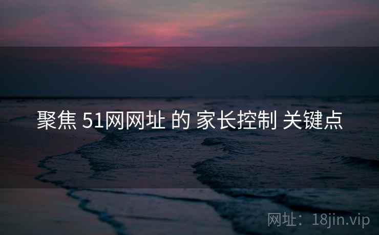 聚焦 51网网址 的 家长控制 关键点 聚焦 51网网址 的 家长控制 关键点