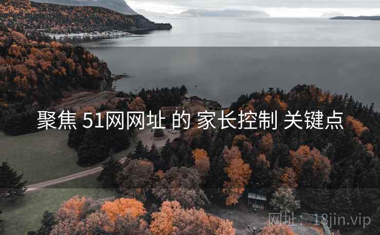 聚焦 51网网址 的 家长控制 关键点 聚焦 51网网址 的 家长控制 关键点