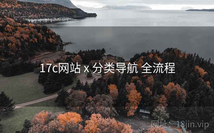 17c网站 x 分类导航 全流程 17c网站 x 分类导航 全流程