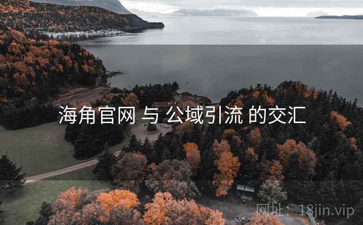 海角官网 与 公域引流 的交汇 海角官网 与 公域引流 的交汇
